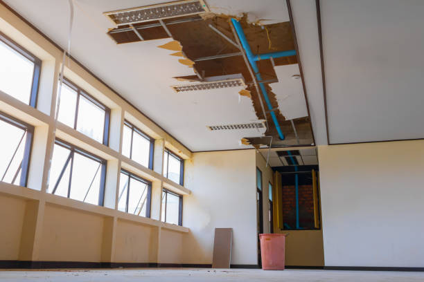 Best Water damage contractors near me  in Wellington, TX