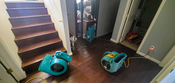 Best Fire Damage Restoration  in Wellington, TX