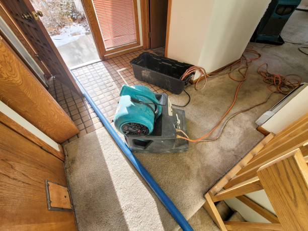 Best Water damage restoration services  in Wellington, TX